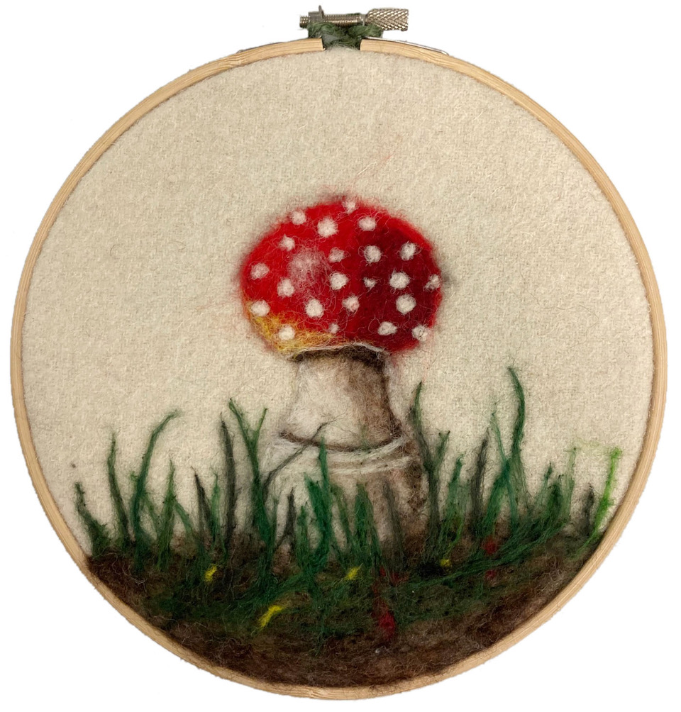round toadstool